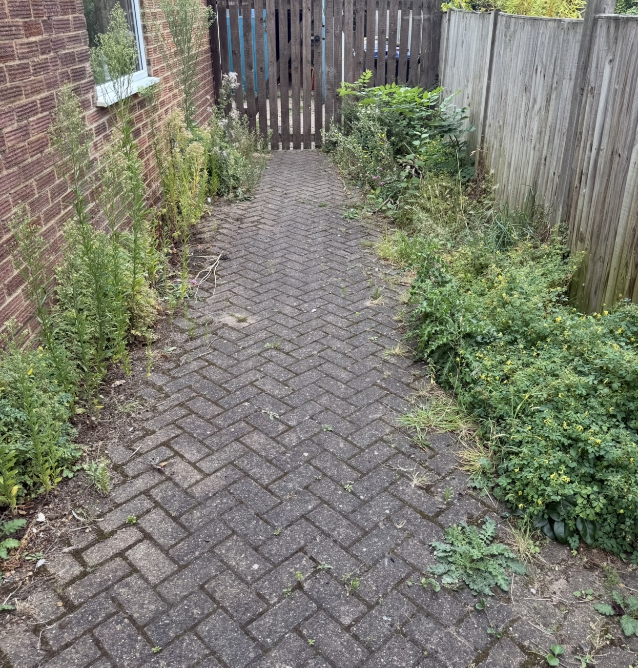 Dirty blocked paving driveway before professional jet washing in Hertfordshire